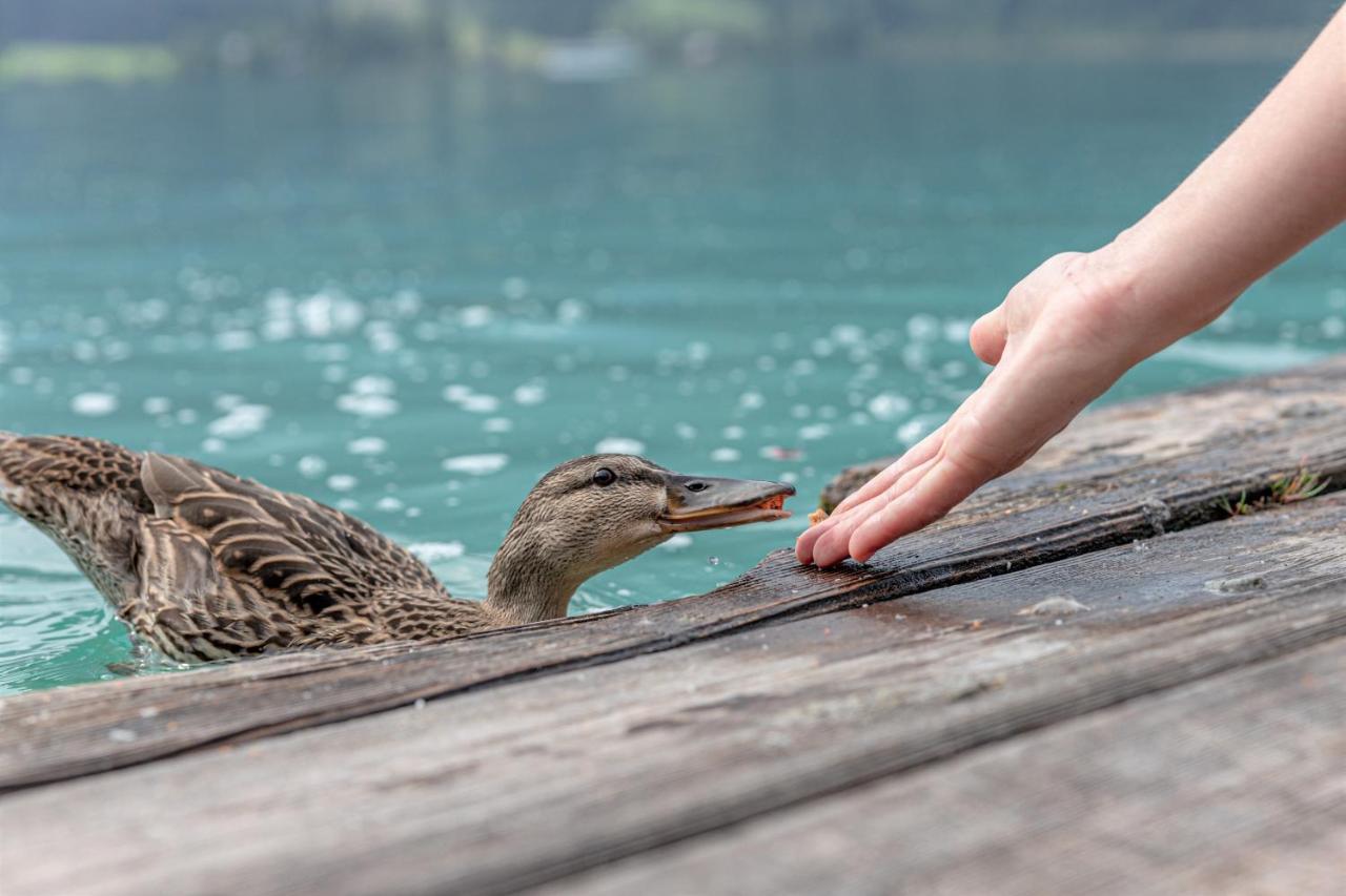 Die Weisse Wand Weissensee Exteriér fotografie